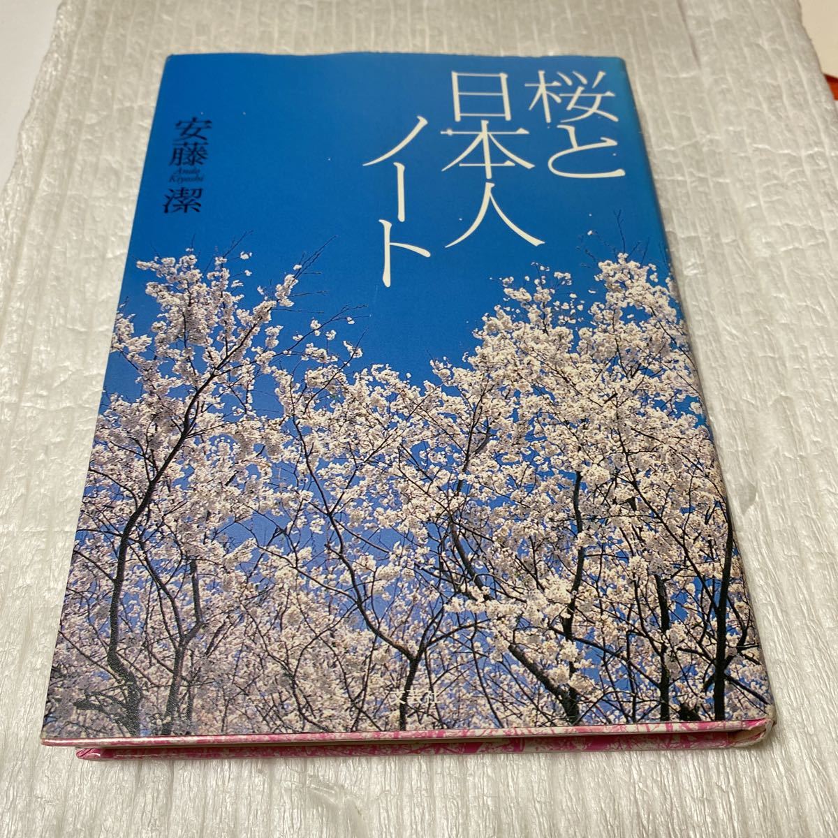 أزهار الكرز وملاحظات على الياباني / كيوشي أندو (مؤلف), تلوين, طلاء زيتي, طبيعة, رسم مناظر طبيعية