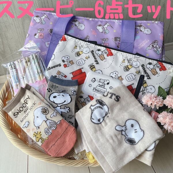 新品 スヌーピー 保冷レジエコバッグ ウエットティッシュ蓋付き 保冷ランチバック 箸4本 靴下2足 ハンドタオル 6点セット