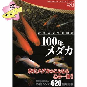 100年メダカ 〜改良メダカ大図鑑〜 Vol.18 【めだかの館発行】