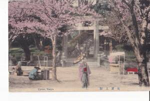手彩色　東京　上野公園の桜　鳥居　女性と露店