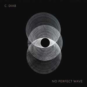 【中古】[540] CD シー・ディアブ NO PERFECT WAVE 1枚組 特典なし 新品ケース交換 送料無料 NWCD-234