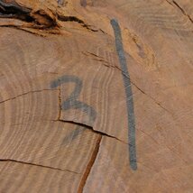 切り株 木製 木根 飾り台 一点もの おしゃれ [H800158]_画像10