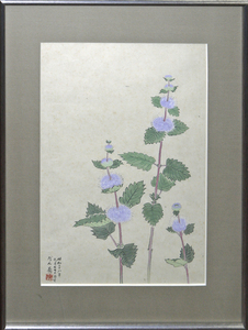 Art hand Auction Trabajo recomendado para encontrar! Kanba Asai Dangiku 44, 5 x 30, 5 cm Pintura japonesa *Dibujo* Galería Masamitsu, cuadro, pintura japonesa, flores y pájaros, pájaros y bestias