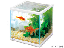 GEX 金魚元気 キューブセット 200 熱帯魚 観賞魚用品 水槽 セット水槽 ジェックス_画像2
