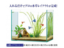 GEX 癒し水景 水草付き流木 ニードル 熱帯魚 観賞魚用品 水槽用品 アクセサリー ジェックス_画像2