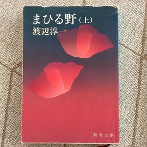 まひる野　上 下（新潮文庫） 渡辺淳一／著