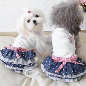 犬服 春夏服　星飾り ドット柄