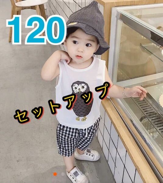 キッズセットアップ　男の子服　Tシャツ　パンツ　夏　上下セット　2点セット 半袖 120cm