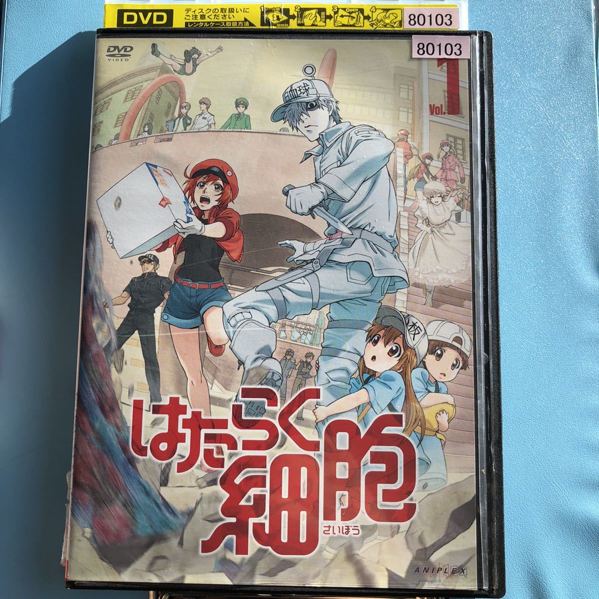 わずかなスレ有り良品 はたらく細胞 7巻セット DVD｜Yahoo!フリマ（旧