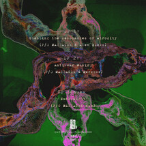 P/O Massacre + Alex Buess & Merzbow/Aural Corrosion,2 x Vinyl, 12", 45 RPM, Album, Rust/Green Marble CD, Album _画像2