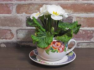  extra-large cup & saucer plant pot * receive jumbo cup & saucer plate attaching * Europe style. rose . pattern. 