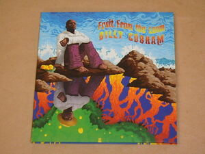 FRUIT FROM THE LOOM　/　Billy Cobham（ビリー・コブハム）/　CD　紙ジャケット