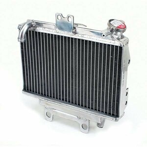  radiator CB1300 2003-2008 Honda aluminium radiator GPI