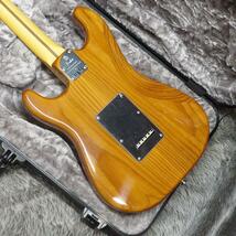 Fender American Professional II Stratocaster MN Roasted Pine_画像4