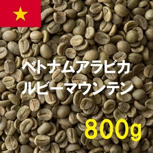 コーヒー生豆　ベトナムアラビカルビーマウンテン　800ｇ　送料無料　グリーンビーンズ