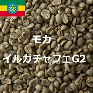 コーヒー生豆　モカイルガチャフェG2　ウオッシュド 10kｇ 送料無料　グリーンビーンズ