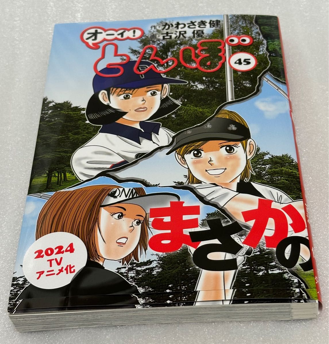 2024年アニメ化決定 オーイ とんぼ 43巻セット 概ね美品 作 かわさい健