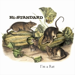 【新品/新宿ALTA】Hi-STANDARD/I'm a Rat (ピクチャーディスク仕様/7インチシングルレコード)(FAT3497)