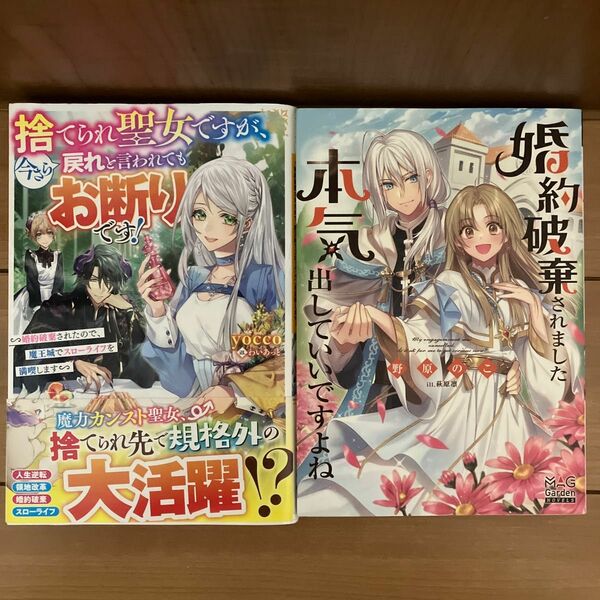 捨てられ聖女ですが、今さら戻れと言われてもお断りです! 婚約破棄されましたよ本気出していいですよね