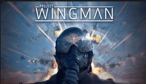 即決　Project Wingman プロジェクト ウィングマン　*日本語対応*　