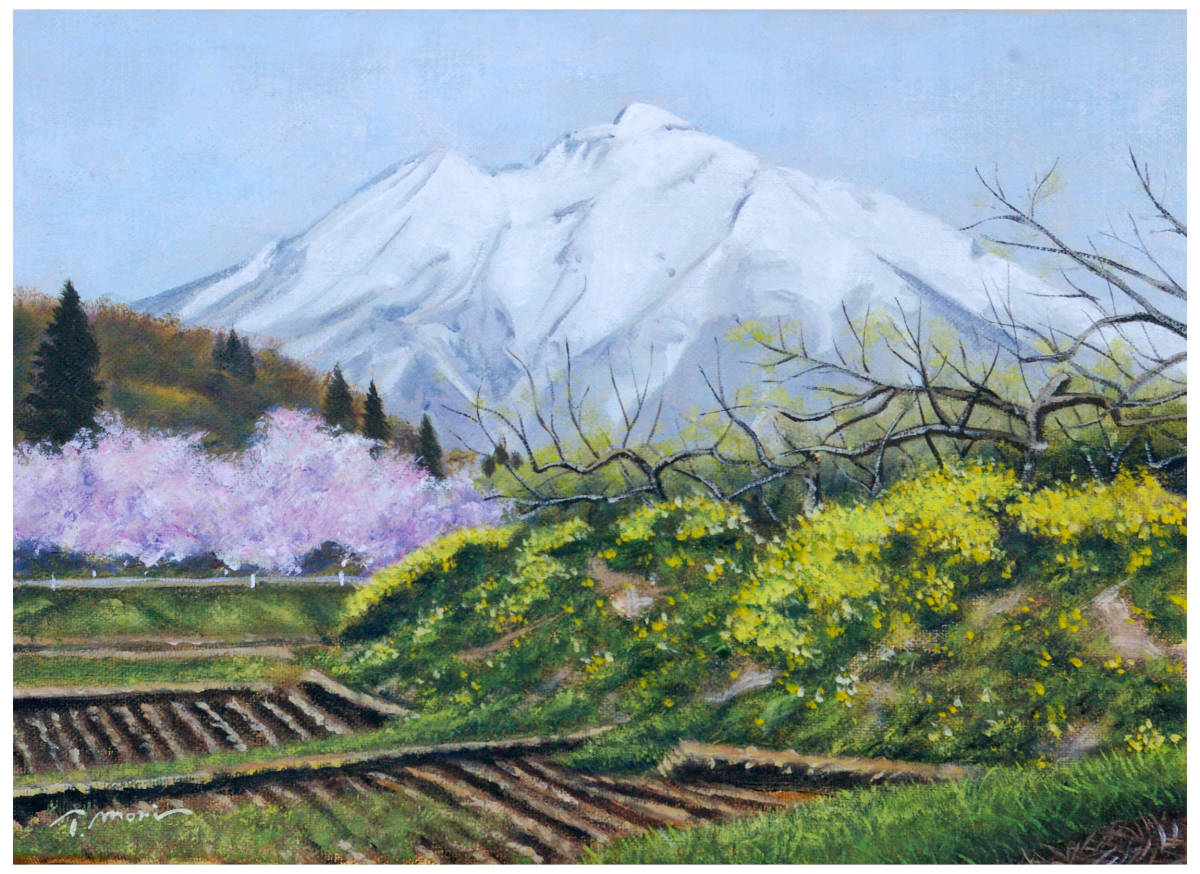 掘り出しオススメ! 油彩画 手塚宏一 8号 「妙義山」 的详细信息 | One