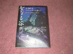 聖なる谷 空中都市マチュピチュを超えて　マチュピチュで体験するスピリュチュアルな世界。鮮やかなビジョン体験とUFO目撃談で綴る旅行記。