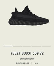 adidas YEEZY Boost 350 V2 Onyx 28cm HQ4540_画像2