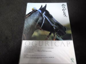 JRA ヒーロー列伝No.29 オグリキャップ クリアファイル 新品未開封 2015年来場ポイント