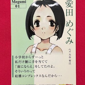 北へ。愛田めぐみ Megumi01 BOX封入特典カード トレーディングカード ※細かな汚れ・キズ・スレあり 非売品 当時モノ 希少  A13585の画像2