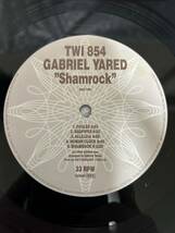 ◎K126◎LP レコード GABRIEL YARED ガブリエルヤーレ/Shamrock 現代音楽アンビエント/ベルギー盤_画像6