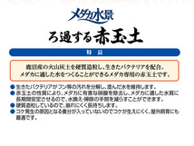 GEX メダカ水景 ろ過する赤玉土 2.5L 熱帯魚 観賞魚用品 水槽用品 砂 ジェックス_画像5