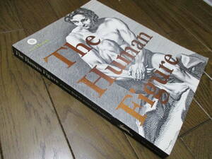 人体デッサン　CD付【大型サイズ 海外書籍】◇人体解剖図　フィギュア　人体解剖学　筋肉　医学　美術　絵画