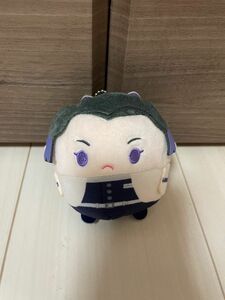 鬼滅の刃　ふわコロりん　ぬいぐるみ　Mサイズ　胡蝶しのぶ