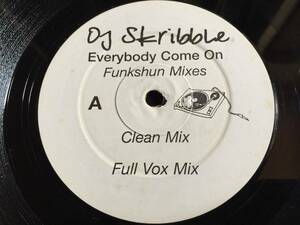 ★DJ Skribble / Everybody Come On Funkshun Mixes 12EP★ qsju3