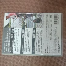 鮎の王国 ダイワ DVD　鮎釣り_画像3
