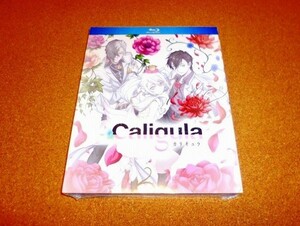 新品BD 【Caligula -カリギュラ-】全12話BOX！国内プレイヤーOK 北米版ブルーレイ