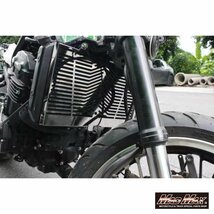 MADMAX バイク用品 KAWASAKI カワサキ Z900RS/Z900RSカフェ用 ステンレス製 ラジエターコアガード/オイルクーラー グリル【送料800円】_画像3