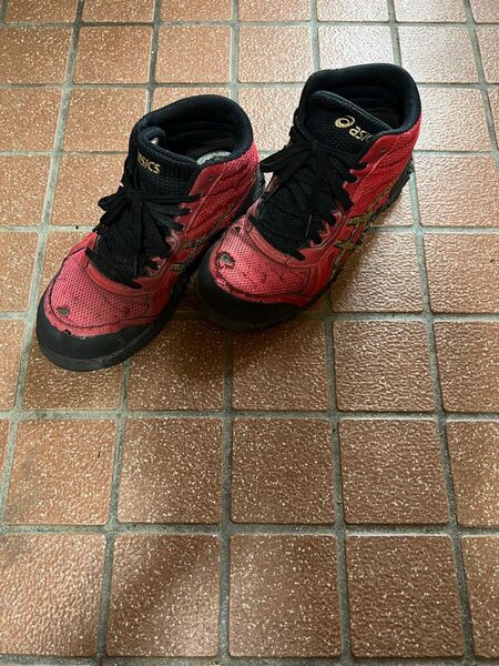 asics/安全靴(ミドルカット)/トゥルーレッド×ゴールド