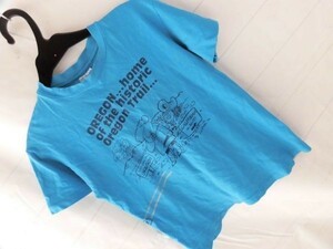 ei-1729 ■　Hanes　■ 子供服　Tシャツ　サイズM　 ブルー　カーボーイの絵のTシャツ