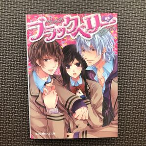 小説 ブラックベリー