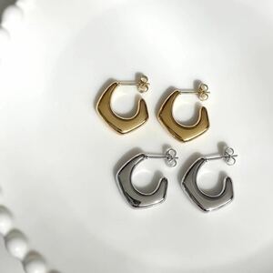  stainless steel Ran bus earrings | silver 