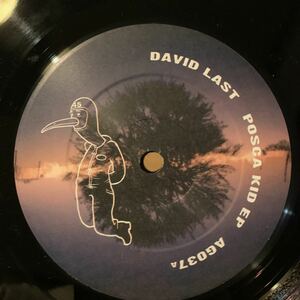 [ David Last - Posca Kid - theAgriculture AG037 ] Dub, Downtempo