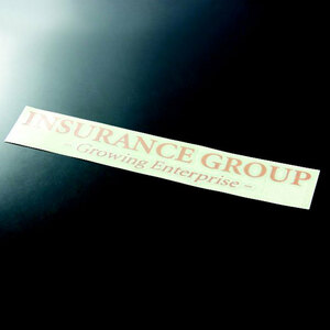 INSURANCE GROUP ステッカー ゴールド 金　3枚　インシュランスグループ growing enterprise VIP セダン ワゴン 送料無料 新品 未使用 3set