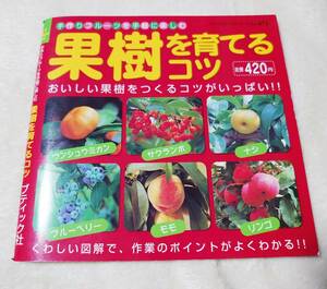  free shipping * fruit tree ....kotsu handmade fruit . easily comfort btik company 