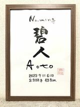 書家が書く　シンプルな命名書き　赤ちゃんへの初めての贈り物　健やかに育つ　煌めく未来　命名　命名書　ずっと飾れる_画像1