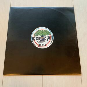 Yves Deruyter - Back To Earth DJ Scot Project Mix Public Domain Vinyl LP 12inch レコード Analog DJ Tiesto cyber trance トランス