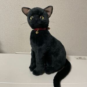 Черный кот черный кот фаршированным животным