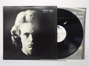 LP レコード 見本盤 Walter Egan ウォルター イーガン NOT SHY ノット シャイ 【E+】 E8389K