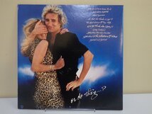LP レコード Rod Stewart ロッド スチュワート Blondes Have More Fun スーパースターはブロンドがお好き 【E+】 M4215J_画像2