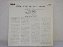 LP レコード 見本盤 Natural Acoustic Band ナチュラル アコースティック バンド Branching In 小川のように 【E+】 D14742U_画像5